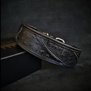 "Korona" Halsband